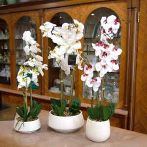 Orchidea Con Vaso “Real Touch”